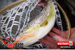 Nymfa REDBASS Nr. 1 L - 80 mm - balenie 5 ks