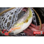 Nymfa REDBASS Nr. 1 L - 80 mm - 1 ks