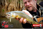 Nymfa REDBASS Nr. 1 L - 80 mm - balenie 5 ks