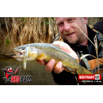 Nymfa REDBASS Nr. 1 L - 80 mm - 1 ks
