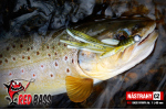 Nymfa REDBASS Nr. 1 L - 80 mm - balenie 5 ks