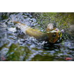 Nymfa REDBASS Nr. 1 L - 80 mm - 1 ks