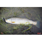 Nymfa REDBASS Nr. 1 L - 80 mm - 1 ks