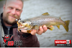 Nymfa REDBASS Nr. 1 L - 80 mm - balenie 5 ks