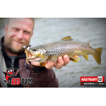 Nymfa REDBASS Nr. 1 L - 80 mm - 1 ks