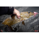 Nymfa REDBASS Nr. 1 L - 80 mm - 1 ks