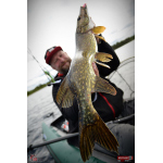Nymfa REDBASS Nr. 1 L - 80 mm - 1 ks
