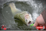 Nymfa REDBASS Nr. 1 S - 53 mm - balenie 10 ks