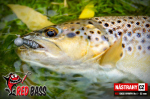 Nymfa REDBASS Nr. 1 S - 53 mm - balenie 10 ks