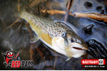 Nymfa REDBASS Nr. 1 S - 53 mm - balenie 10 ks