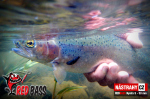 Nymfa REDBASS Nr. 1 S - 53 mm - balenie 10 ks