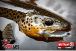Nymfa REDBASS Nr. 1 S - 53 mm - balenie 10 ks