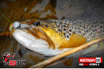 Nymfa REDBASS Nr. 1 S - 53 mm - balenie 10 ks