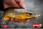 Nymfa REDBASS Nr. 1 S - 53 mm - balenie 10 ks