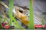 Nymfa REDBASS Nr. 1 S - 53 mm - balenie 10 ks