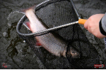 Nymfa REDBASS Nr. 1 S - 53 mm - balenie 10 ks