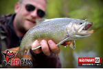 Nymfa REDBASS Nr. 1 S - 53 mm - balenie 10 ks