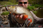 Nymfa REDBASS Nr. 1 S - 53 mm - balenie 10 ks