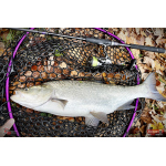 Nymfa REDBASS Nr. 1 X - 100 mm - balenie 5 ks