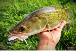 Nymfa REDBASS Nr. 1 X - 100 mm - balenie 5 ks