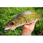 Nymfa REDBASS Nr. 1 X - 100 mm - balenie 5 ks