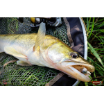 Nymfa REDBASS Nr. 1 X - 100 mm - balenie 5 ks