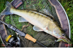 Nymfa REDBASS Nr. 1 X - 100 mm - balenie 5 ks