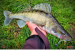 Nymfa REDBASS Nr. 1 X - 100 mm - balenie 5 ks