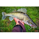 Nymfa REDBASS Nr. 1 X - 100 mm - balenie 5 ks