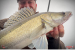 Nymfa REDBASS Nr. 1 X - 100 mm - balenie 5 ks