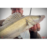 Nymfa REDBASS Nr. 1 X - 100 mm - balenie 5 ks