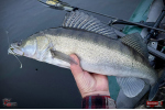 Nymfa REDBASS Nr. 1 X - 100 mm - balenie 5 ks