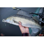 Nymfa REDBASS Nr. 1 X - 100 mm - balenie 5 ks