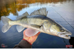 Nymfa REDBASS Nr. 1 X - 100 mm - balenie 5 ks