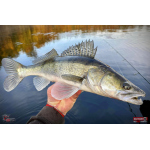 Nymfa REDBASS Nr. 1 X - 100 mm - balenie 5 ks