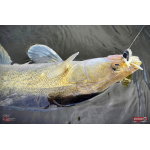 Nymfa REDBASS Nr. 1 X - 100 mm - balenie 5 ks