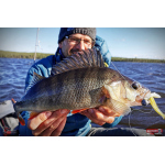 Nymfa REDBASS Nr. 1 X - 100 mm - balenie 5 ks