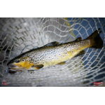 Nymfa REDBASS Nr. 1 X - 100 mm - 1 ks