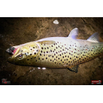 Nymfa REDBASS Nr. 1 X - 100 mm - balenie 5 ks