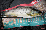 Nymfa REDBASS Nr. 1 X - 100 mm - balenie 5 ks