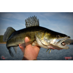 Nymfa REDBASS Nr. 1 XL - 130 mm - 1 ks
