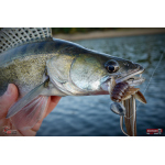 Nymfa REDBASS Nr. 1 XL - 130 mm - 1 ks