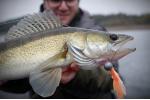 Nymfa REDBASS Nr. 1 XL - 130 mm - 1 ks