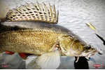 Nymfa REDBASS Nr. 1 XL - 130 mm - 1 ks