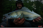 Nymfa REDBASS Nr. 1 XL - 130 mm - 1 ks