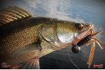 Nymfa REDBASS Nr. 1 XL - 130 mm - 1 ks