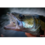 Nymfa REDBASS Nr. 1 XL - 130 mm - 1 ks