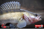 Nymfa REDBASS Nr. 1 XL - 130 mm - 1 ks