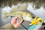 Nymfa REDBASS Nr. 1 XL - 130 mm - 1 ks