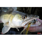Nymfa REDBASS Nr. 1 XL - 130 mm - 1 ks